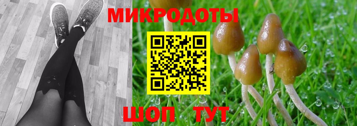 Волгоград  Галлюциногенные грибы Psilocybe  Псилоцибиновые грибы MAGIC MUSHROOMS  Вход с VPN 