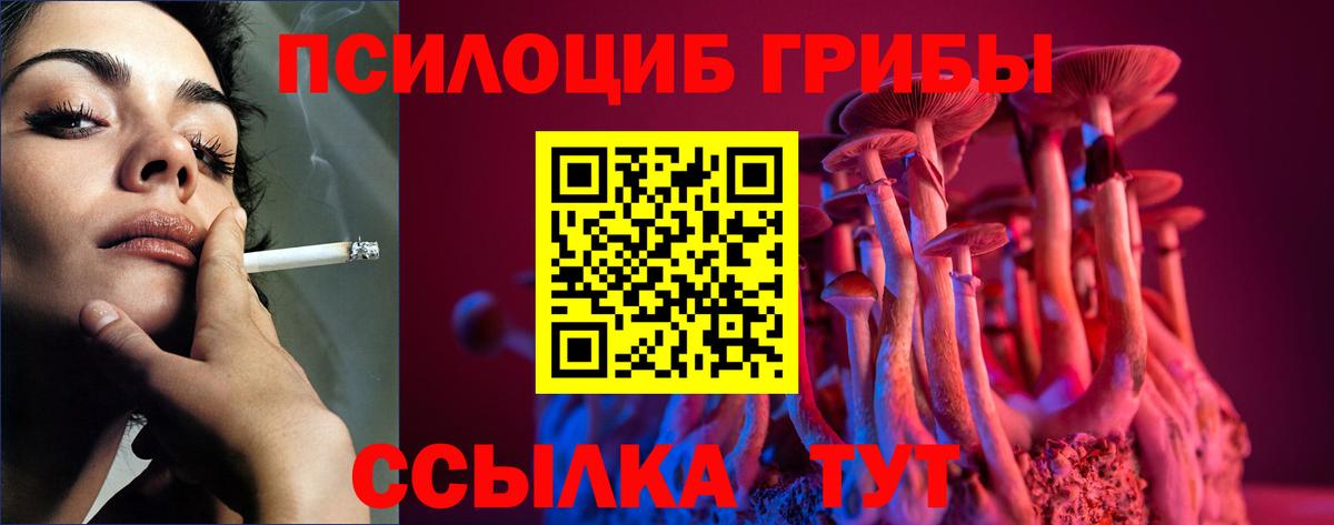 Галлюциногенные грибы Magic Shrooms Волгоград